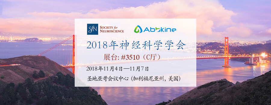 2018年神经科学学会