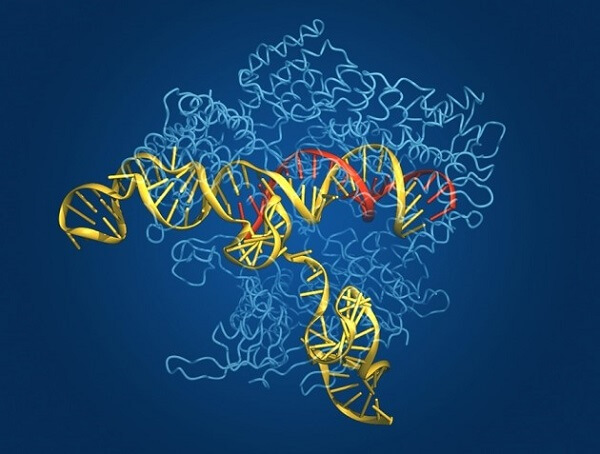nature-CRISPR2