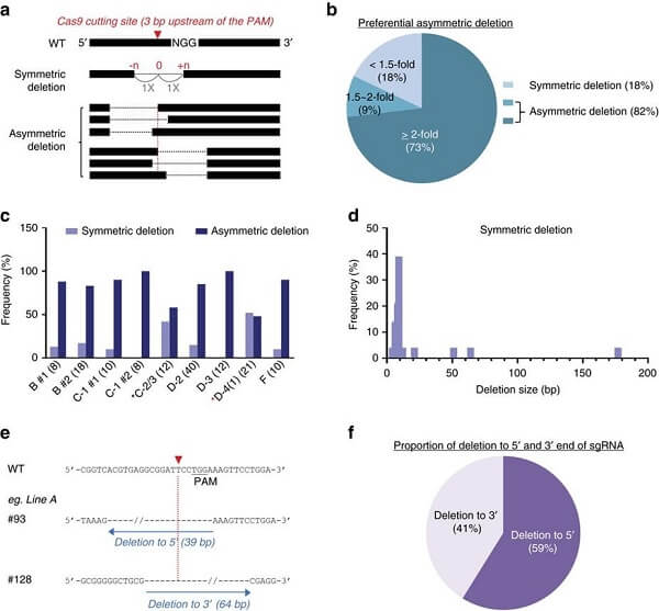 nature-CRISPR3