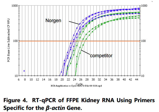 FFPE RNA纯化试剂盒