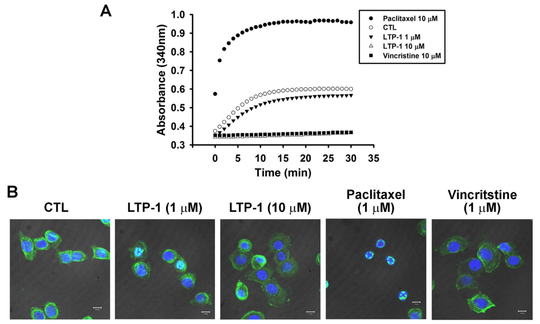 微管蛋白聚合分析试剂盒Scientific Reports