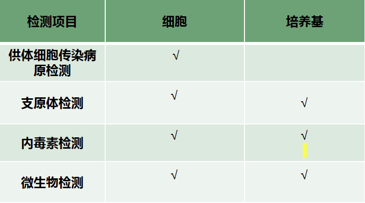 科研级人源神经干细胞细胞株检测项目