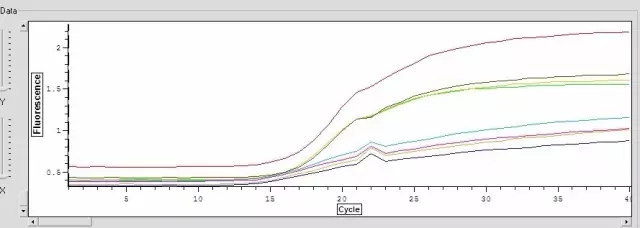 qPCR疑问 扩增曲线