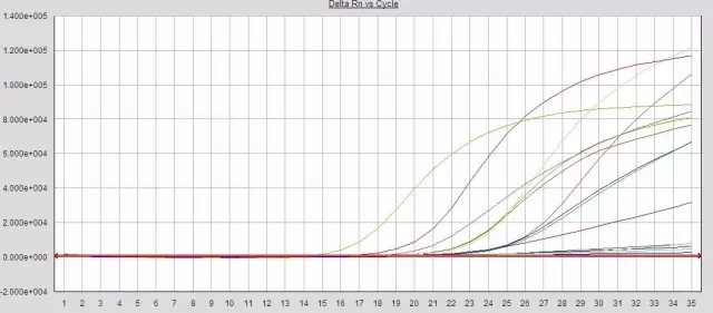 qPCR疑问 扩增效率低