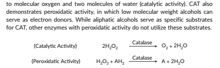 Catalase,酶活性,检测试剂盒