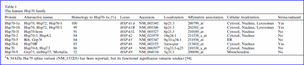 热休克蛋白,HSP70