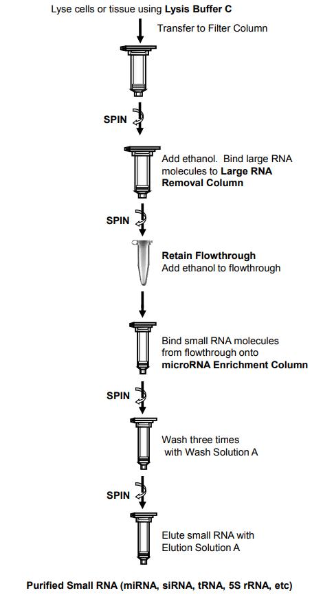 microRNA提纯试剂盒提取RNA流程图