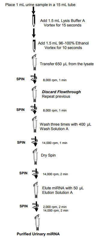 尿液microRNA提纯试剂盒纯化尿液microRNA的流程图