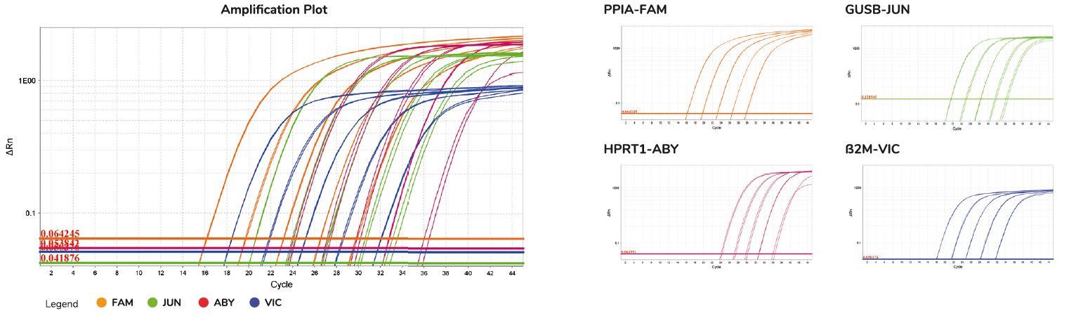 multiplex PCR results