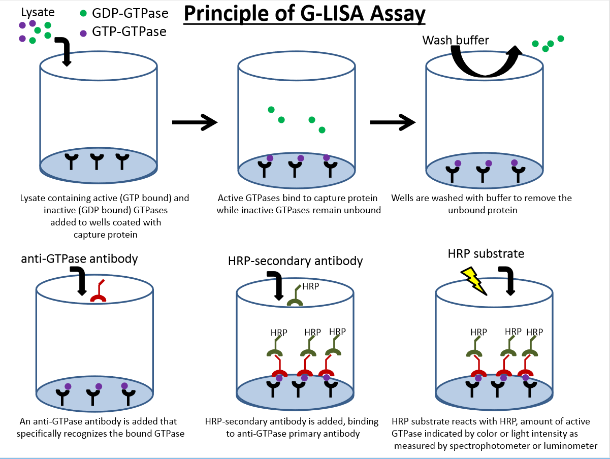 G-LISA实验