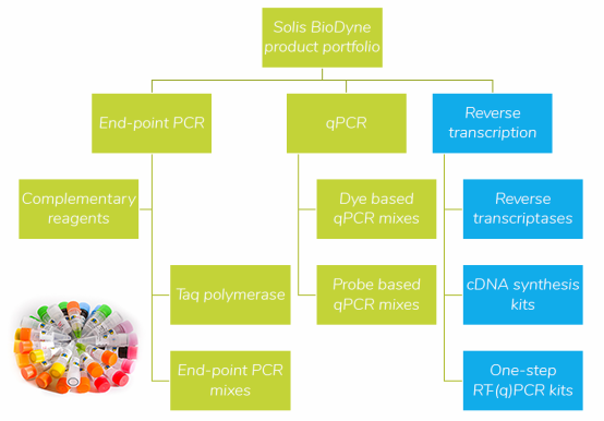 PCR配套试剂