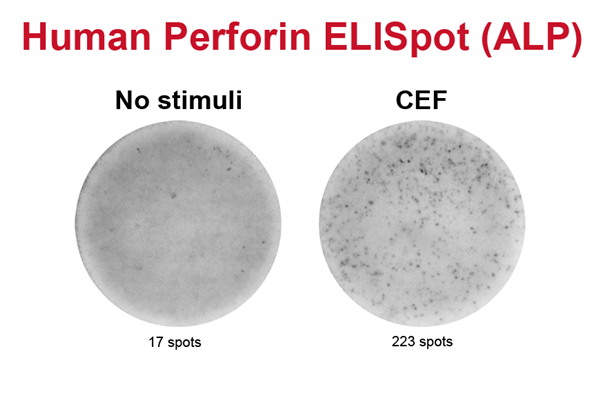 人穿孔素ELISpot试剂盒（ALP）