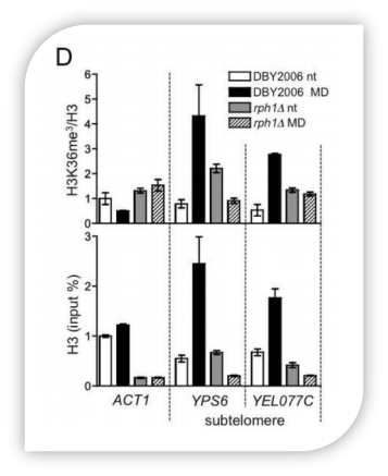 A-4042精彩文章Cell metabolism