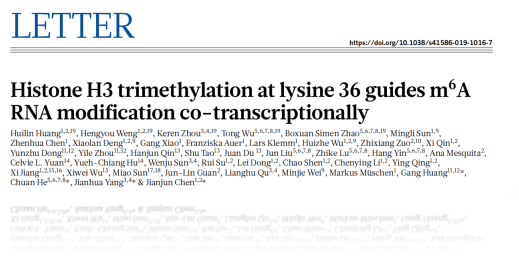 RNA m6A甲基化研究文章