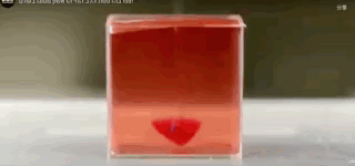 人体组织3D打印全球首个完整心脏