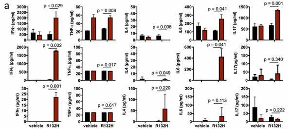 A vaccine targeting mutant IDH1 induces antitumour immunity