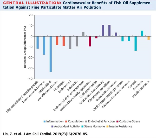 膳食补充鱼油可减轻空气污染带来的健康危害