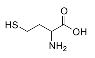 同型半胱氨酸