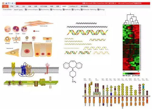 PPT作图如何媲美CNS——Science Slides