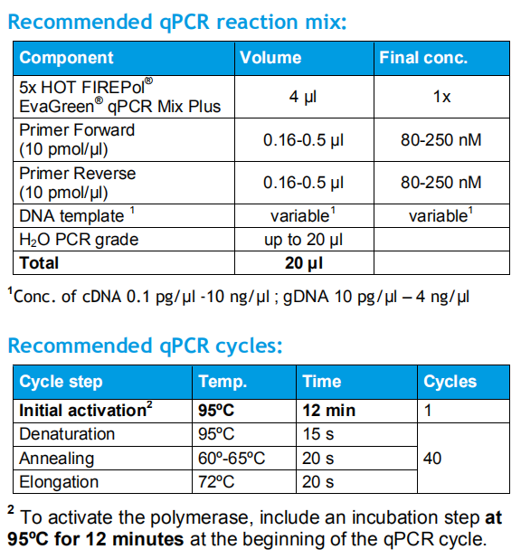 PCR反应体系与PCR程序设置