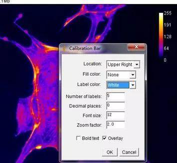 在Analyze下点击Tools，选择Calibration Bar