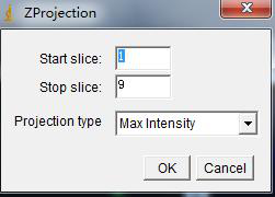 Image，Stacks，Z projection，选择Max Intensity