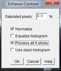 选择Normalize与Process all 9 slices