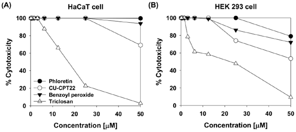 根皮素、CU-CPT22、过氧化苯甲酰和三氯生对(A) HaCaT细胞和(B)人HEK293细胞活力的影响