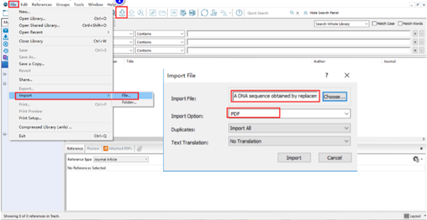 Import Option 选择 PDF