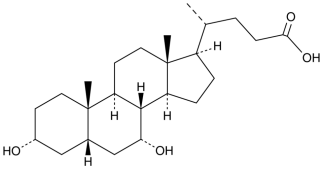 初级和次级胆汁酸