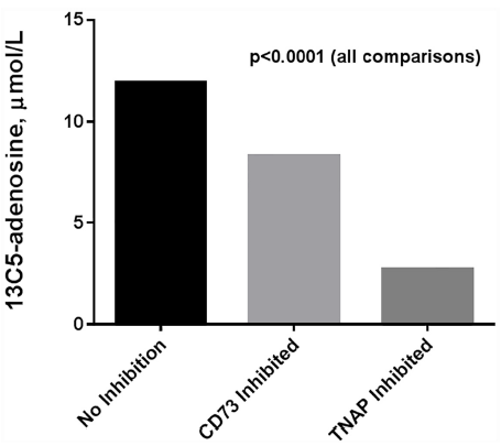 无外核苷酸酶抑制、CD73抑制和碱性磷酸酶抑制的13C5腺苷生产