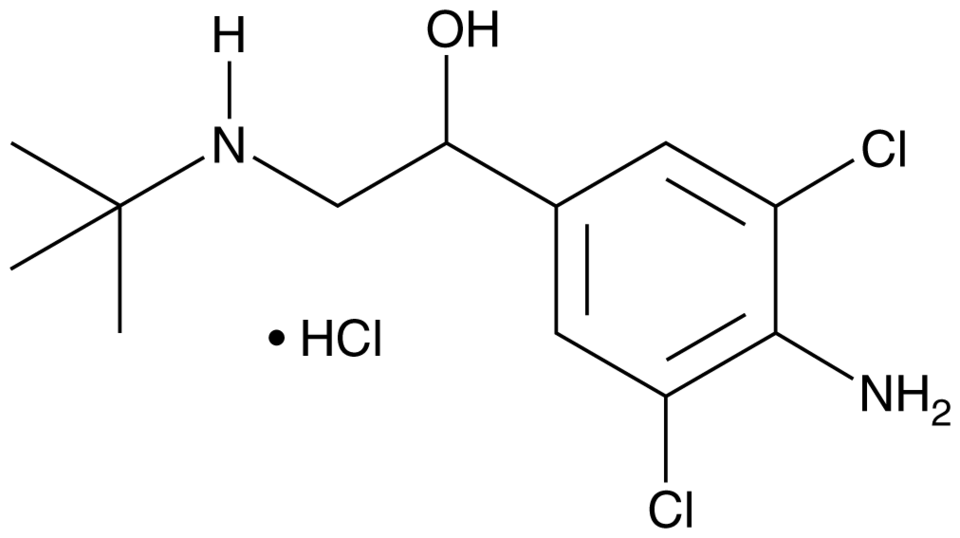β-肾上腺素受体激动剂