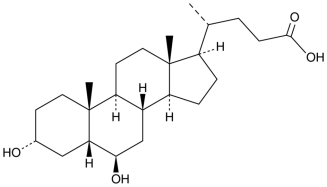 初级和次级胆汁酸