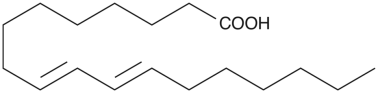 ʳܗ