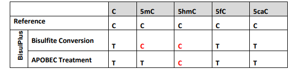 5mC