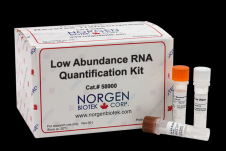 Low Abundance RNA Quantification Kit