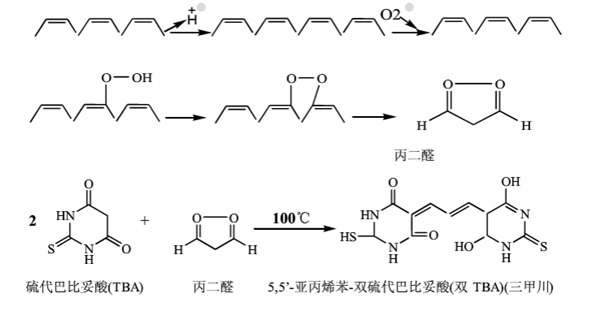 TBARS广泛用于脂质过氧化反应的指标