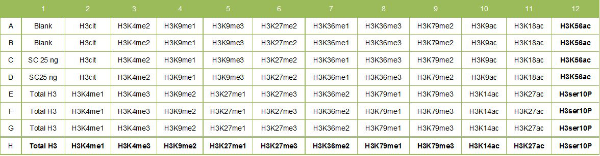 循环组蛋白H3修饰多重检测试剂盒