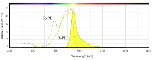 R-PE和B-PE的吸光度和发射光谱的比较