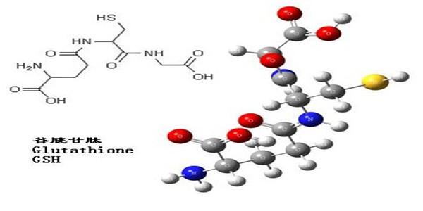 谷胱甘肽