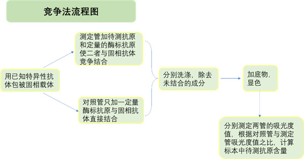 竞争法流程