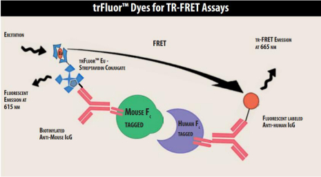 trFluor 染料