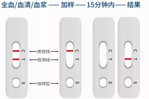 胶体金免疫层析法