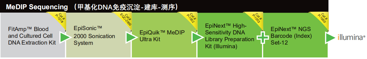 甲基化DNA免疫沉淀-建库-测序