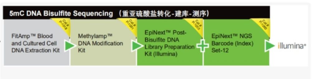 Epigentek可为您提供整体打包方案