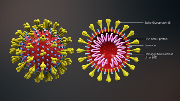 2019-nCoV RNA