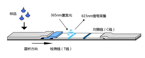 时间分辨荧光实验原理