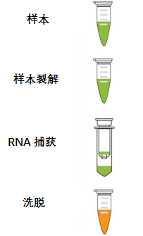 唾液、鼻咽拭子样本推出全新病毒RNA提取试剂盒