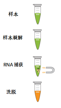 唾液、鼻咽拭子样本推出全新病毒RNA提取试剂盒