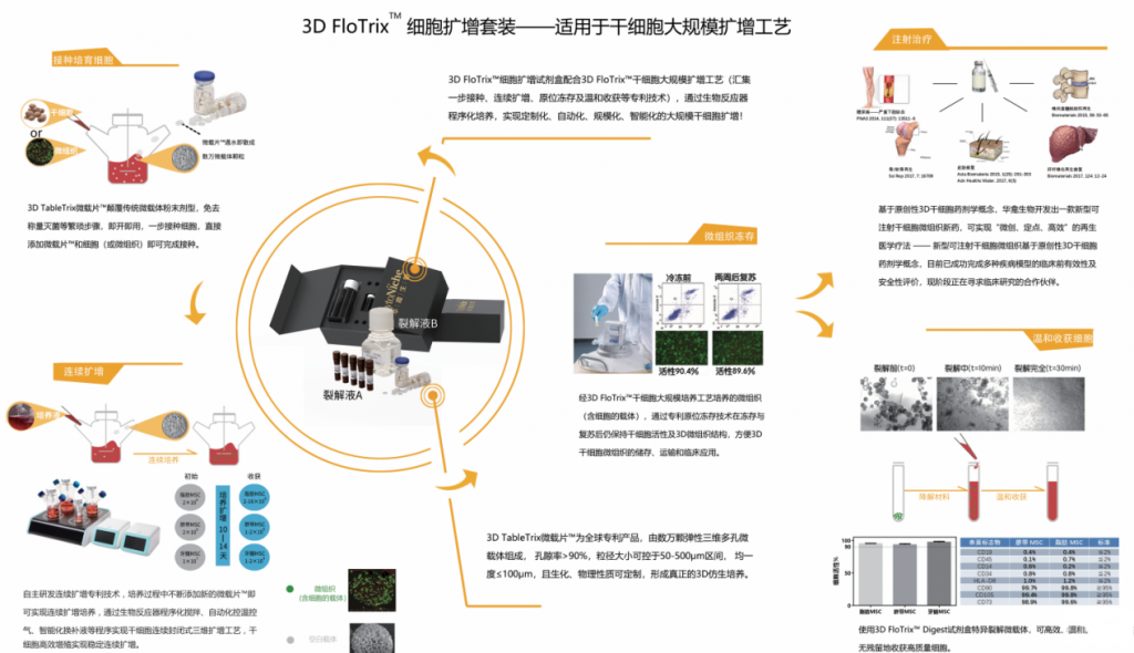 3D FloTrix&trade;细胞扩增试剂盒